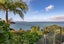 30 Arama Avenue, Titirangi, Auckland - Carousel 16