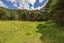 105 Zanders Road, Waimauku - Carousel 36