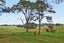0 Centennial Park Road, Wellsford, Wellsford - Carousel 1