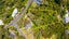 64 Ridge Road, Mahurangi East, Warkworth - Carousel 46