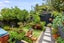 304 Muritai Road, Eastbourne, Lower Hutt - Carousel 22