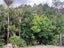 200 Ti Point Road, Warkworth - Carousel 32