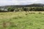 0 Bayfield Street, Seddonville, Westport - Carousel 5