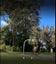 19C Hargest Terrace, Mount Albert, Auckland - Carousel 15