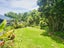 1123 State Highway 12, Oue, Kaikohe - Carousel 4