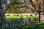 372 Upper Plain Road, Upper Plain, Masterton - Carousel 34
