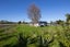 1 Ashgrove Lane, Palmerston North - Carousel 44