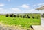 386 Martin Road, Waerenga, Te Kauwhata - Carousel 12