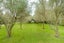 1633 State Highway 3, Awahuri, Palmerston North - Carousel 41