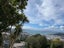 45 Apuka Street, Brooklyn, Wellington - Carousel 2