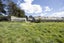 5 George Street, Kakanui, Oamaru - Carousel 19