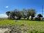 18 Finegand Township Road, Finegand, Balclutha - Carousel 22