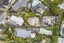 11A Godfrey Place, Kohimarama, Auckland - Carousel 16
