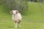 149 Forest Hill Road, Henderson, Auckland - Carousel 25