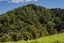 0 Hailes Road, Whananaki, Hikurangi - Carousel 9