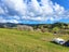 1344 State Highway 12, Oue, Kaikohe - Carousel 15