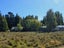 7189 Wedderburn-Becks Road, Wedderburn, Ranfurly - Carousel 3