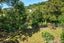 10 Carleton Terrace, Tawa, Wellington - Carousel 22