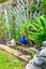 8/20 Taylor Street, Blockhouse Bay, Auckland - Carousel 24