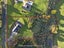 291 Cameron Town Road, Buckland, Pukekohe - Carousel 34