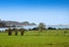 30 Tern Point, Mangawhai, Mangawhai - Carousel 1