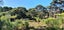 84 Huia Road, Titirangi, Auckland - Carousel 13