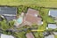 6 Conifer Lane, Mangere Bridge, Auckland - Carousel 30