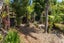 27 Cory Road, Palm Beach, Waiheke Island - Carousel 33