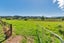 1085 Pakiri Road, Pakiri, Wellsford - Carousel 9