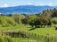 23 Millars Road, Ponatahi - Carousel 4