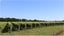 0 Ben Ohau Road, Ben Ohau, Twizel - Carousel 4