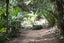 28 Hobson Terrace, Onetangi, Waiheke Island - Carousel 5