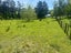 923 Oporae Road, Dannevirke - Carousel 23
