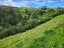 144 Ackworth Road, Lepperton, New Plymouth - Carousel 24