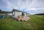 708 Wilderness Road, Hillside, Te Anau - Carousel 23