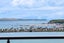 13/11 Freemont Street, Parnell, Auckland - Carousel 12