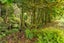 189 Waikino Road, Karetu, Kawakawa - Carousel 16