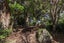 261 Matarau Road, Matarau, Whangarei - Carousel 25