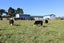 174 Bedford Road North, Kaimiro, Kaimiro - Carousel 14