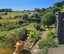 70 Saxton Road, Upper Vogeltown, New Plymouth - Carousel 18