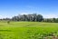 129 Burbush Road, Burbush, Hamilton - Carousel 16