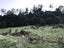 7743B State Highway 2, Paeroa - Carousel 46