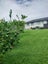 11 Amy Place, Pyes Pa, Tauranga - Carousel 7