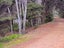 19 Woods Ridge Road, Kawau Island - Carousel 4