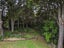 321 VINEGAR HILL RD, KAMO, WHANGAREI - Carousel 35