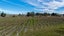 0 Nursery Road, Queensberry - Carousel 4