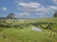 70 Opanake Road, Parore - Carousel 23