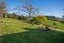 22 Pye Road, Geraldine Downs, Geraldine - Carousel 22