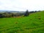 0 Fisher-Riley Road, Kaitaia, Kaitaia - Carousel 6