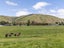 0 Teviot Road, Roxburgh East, Roxburgh - Carousel 20